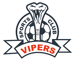 Vipers Left Heartbroken: 